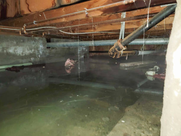 Best Commercial water damage restoration  in North Mankato, MN