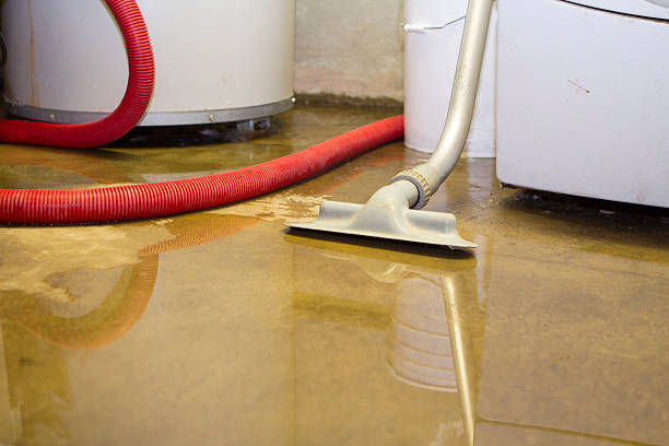 Best Mold removal after water damage  in North Mankato, MN