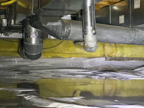 Best Water damage cleanup near me  in North Mankato, MN