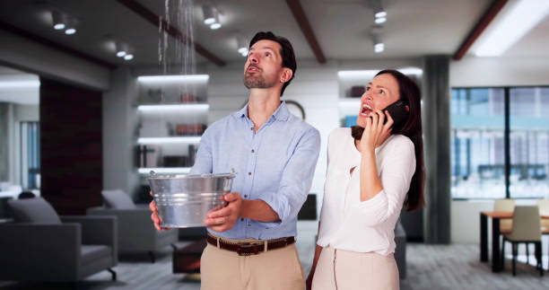 Best Residential water damage restoration  in North Mankato, MN
