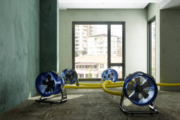 Best Local water damage restoration  in North Mankato, MN