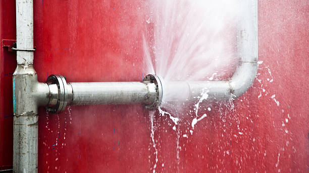 Best Carpet water damage restoration  in North Mankato, MN